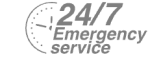 24/7 Emergency Service Pest Control in Teddington, Fulwell, TW11. Call Now! 020 8166 9746